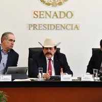 Pese a reclamo de oposición, comisión del Senado declara elegibles las ternas para la CRE
