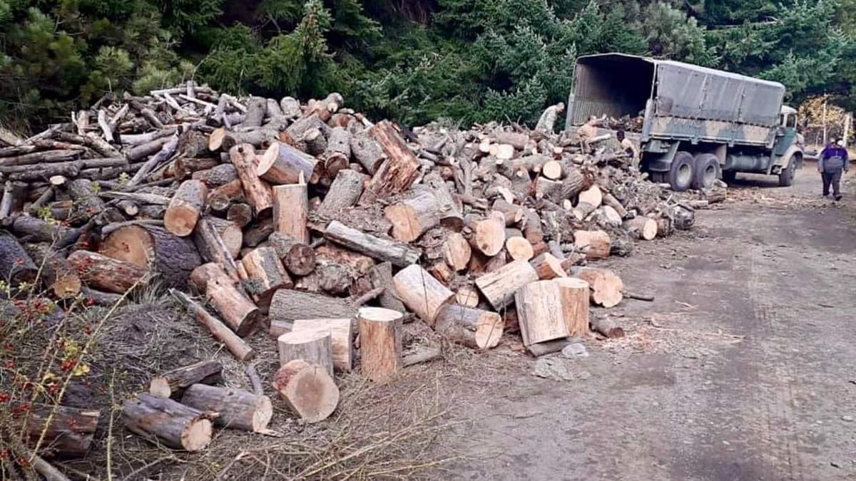 Leña que se sumará al Operativo Invierno 2020 en Zapala.
