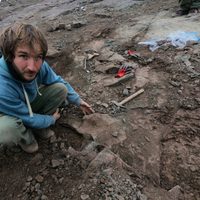 En Santa Cruz, científicos encontraron los restos del dinosaurio megaraptórido más grande del mundo