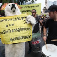 Se une México a la marcha internacional contra Monsanto