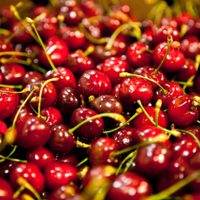 Las exportaciones de alimentos crecieron en un 9,2 % este año