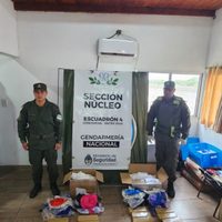 De Misiones a Neuquén: interceptaron encomiendas con 22 kilos de marihuana