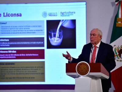 Gobierno de Sheinbaum proyecta producción de semillas para el norte y ganadería para el sur del país