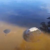 La municipalidad de Villa la Angostura cortó el servicio de agua potable por un derrame de efluentes cloacales