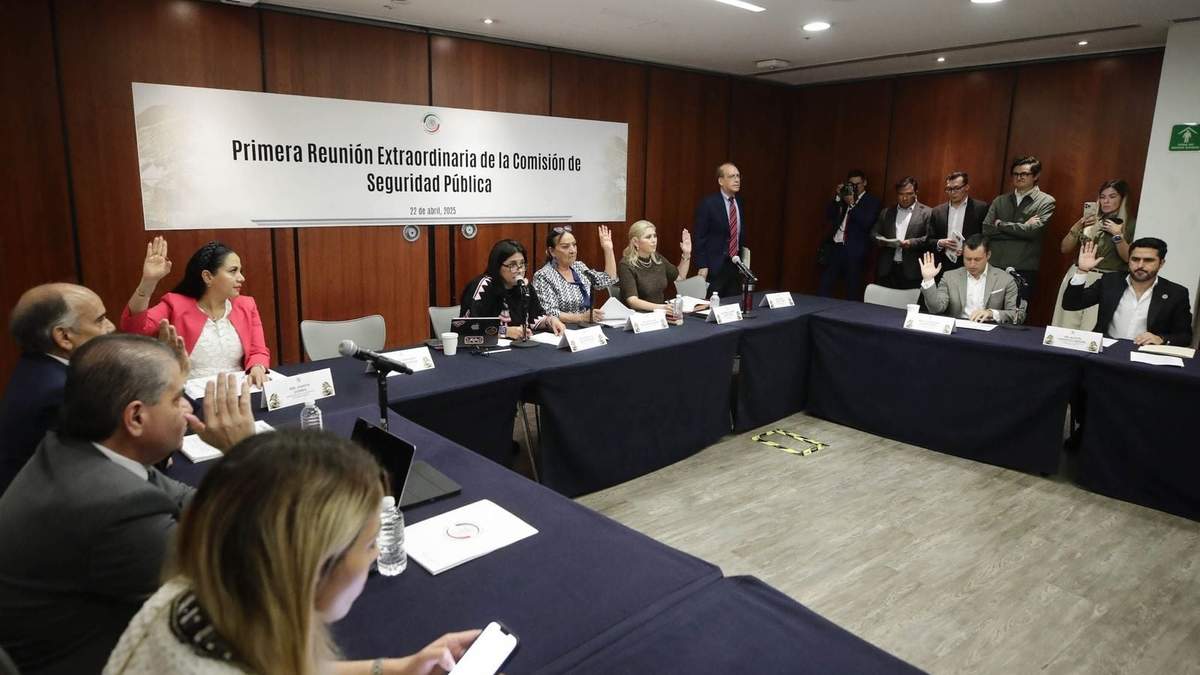 Comisión de Seguridad Pública del Senado