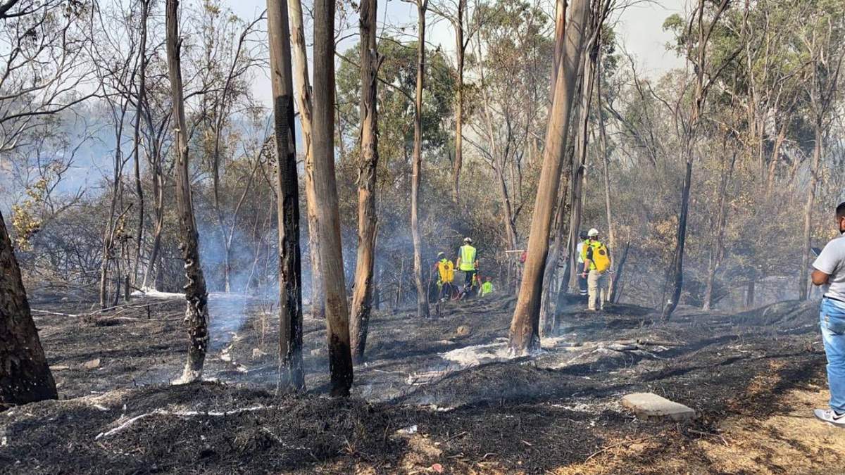 Este lunes se registró un incendio forestal en la tercera sección del Bosque de Chapultepec