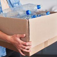 No tires las botellas de gaseosa: reutilizalas para mantener tus frutas y verduras durante meses