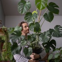 Las plantas colgantes fáciles de cuidar que el Feng Shui recomienda sí o sí tener en casa