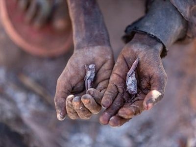 La ONU constata más de 45 millones de personas al borde de la hambruna en todo el mundo