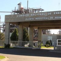 Abastecer las centrales nucleares y producir fertilizantes, las opciones para la PIAP