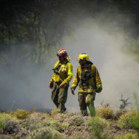 Incendios forestales: el COE centraliza la lucha contra 12 focos de Fuego en la zona Cordillerana