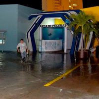 A 38 días de su apertura, desalojan Acuario de Mazatlán por ruptura de acrílico (Video)