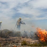 Continúa el incendio forestal en Aluminé: ya se perdieron 400 hectáreas