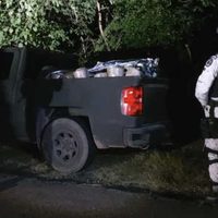 La Guardia Nacional asegura una tonelada de mariguana en Michoacán