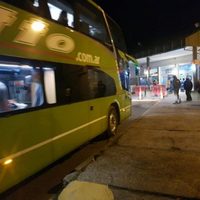 Arribaron a San Martín de los Andes numerosos vecinos provenientes del exterior