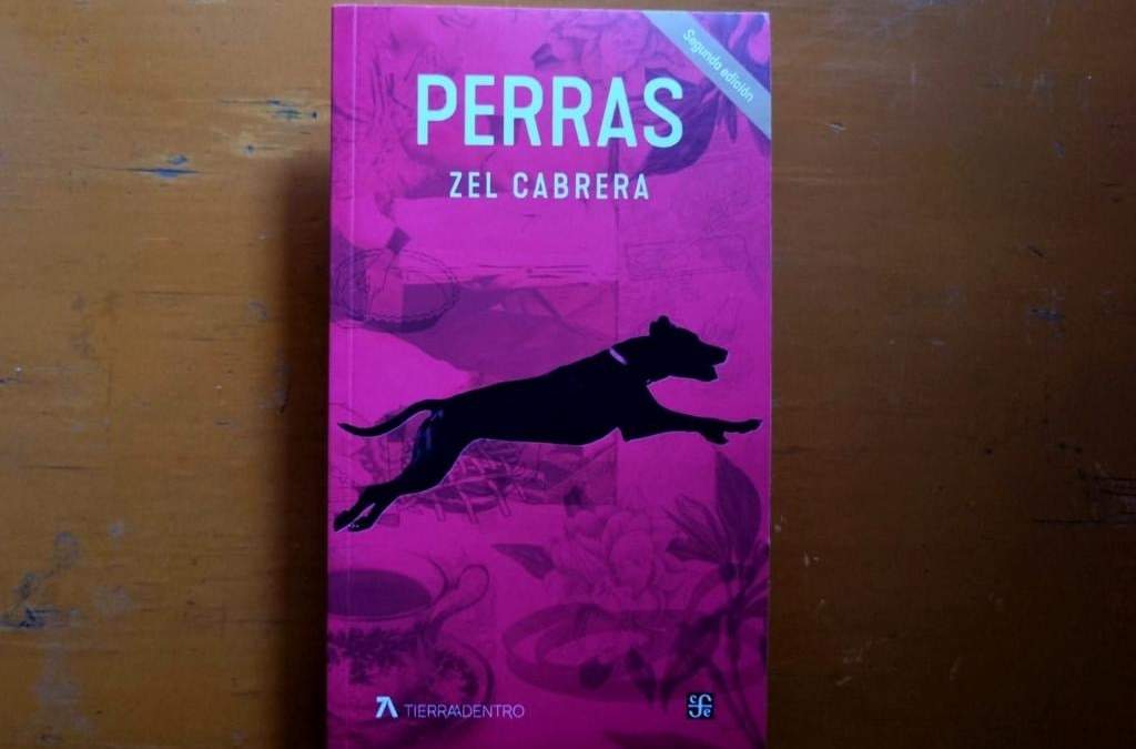 El poemario