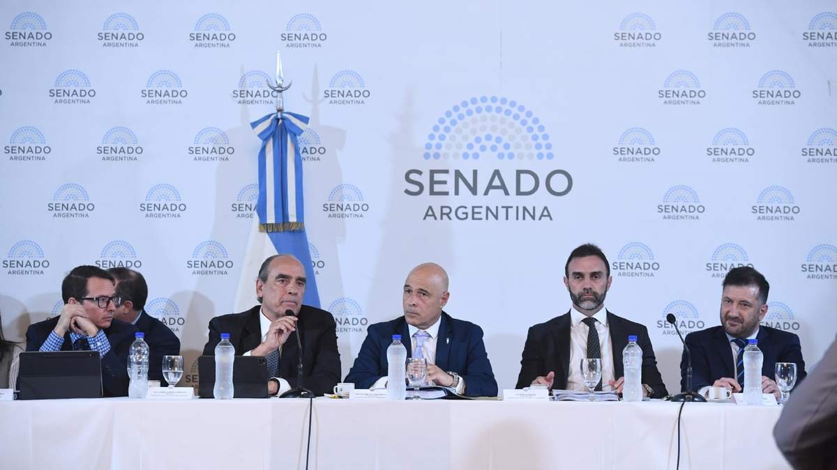 La Ley de Bases tiene media sanción pero aún podría ser rechazada. Fuente: (Twitter)