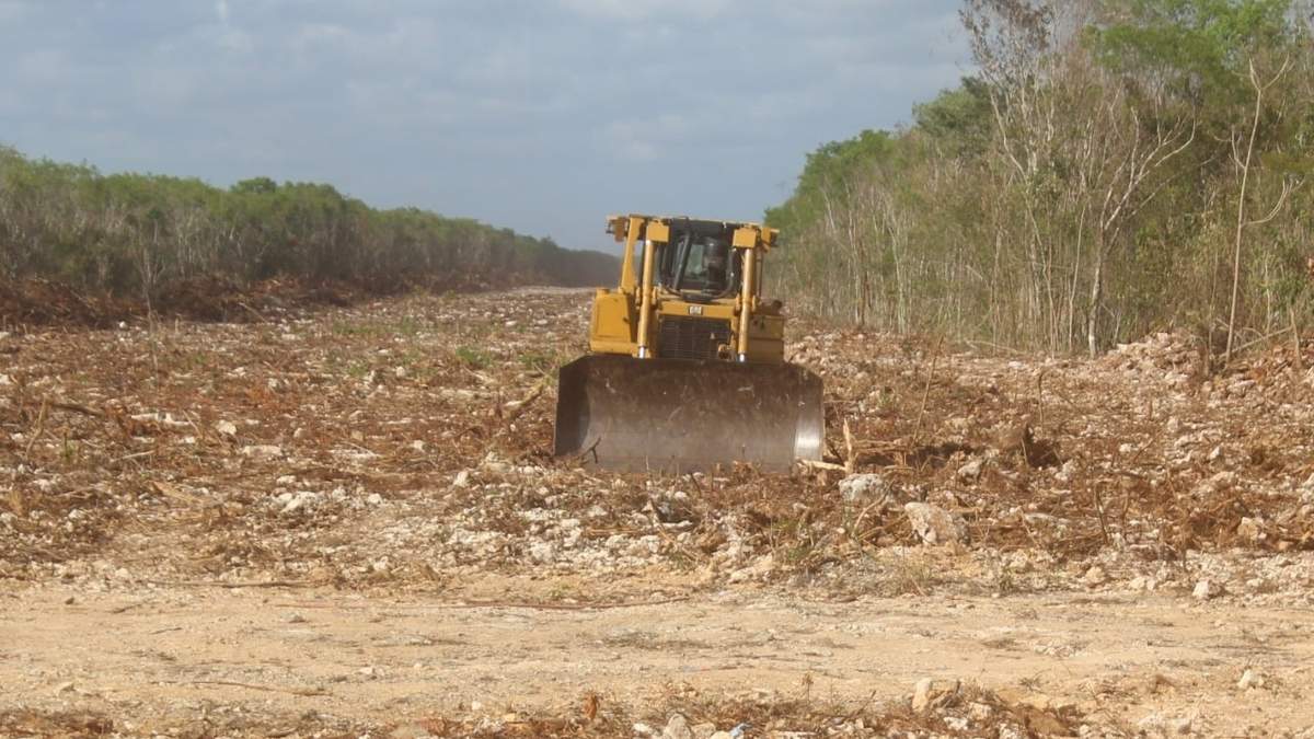 Las obras del Tren Maya en Playa del Carmen