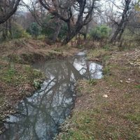 Alerta por contaminación del arroyo Piedritas y laguna Calafate