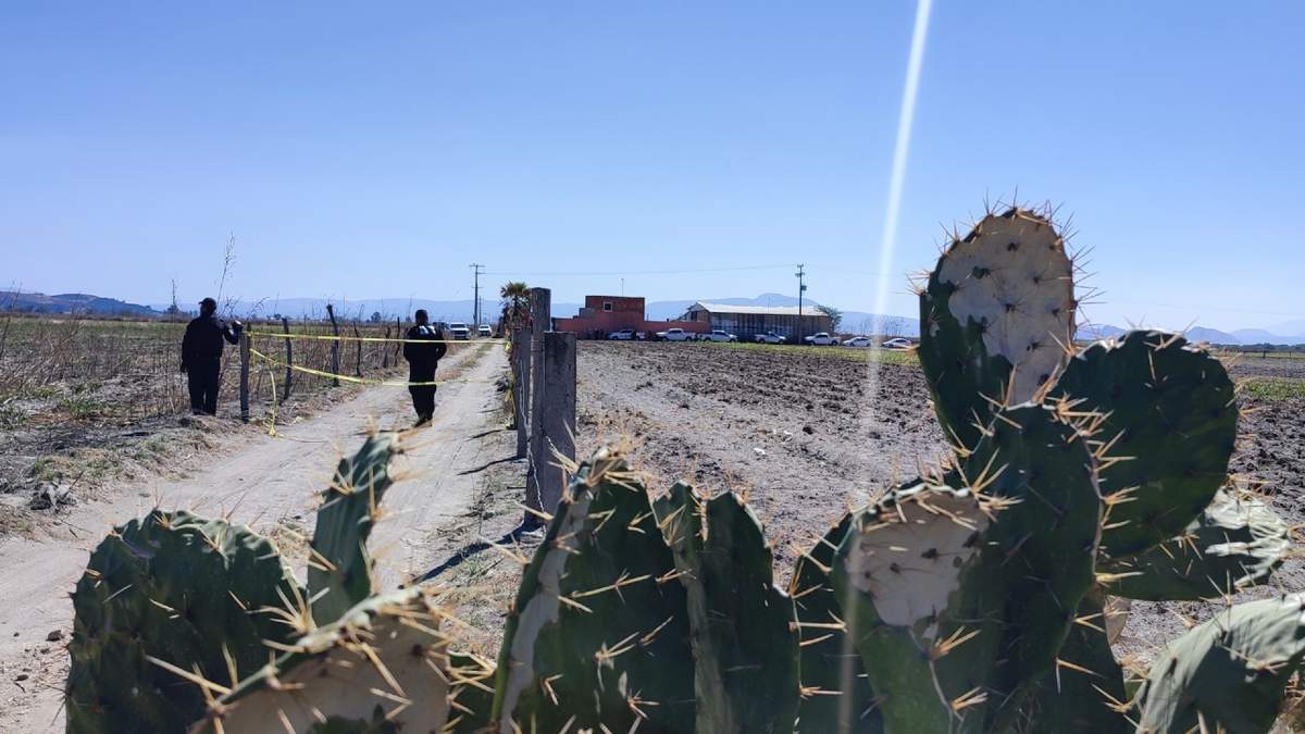 Visita al campo de reclutamiento