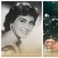 La actriz Rosita Arenas y el documentalista Demetrio Bilbatúa recibirán el Ariel de Oro