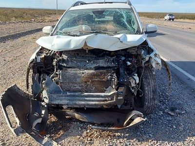 Accidente en Vaca Muerta: una camioneta chocó un ternero que estaba suelto en la ruta