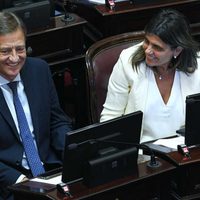 El proyecto de Suarez y Juri contra las candidaturas testimoniales