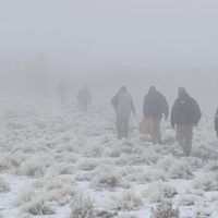 Rescatan el cuerpo de un criancero fallecido en una zona rural de difícil acceso en el norte neuquino