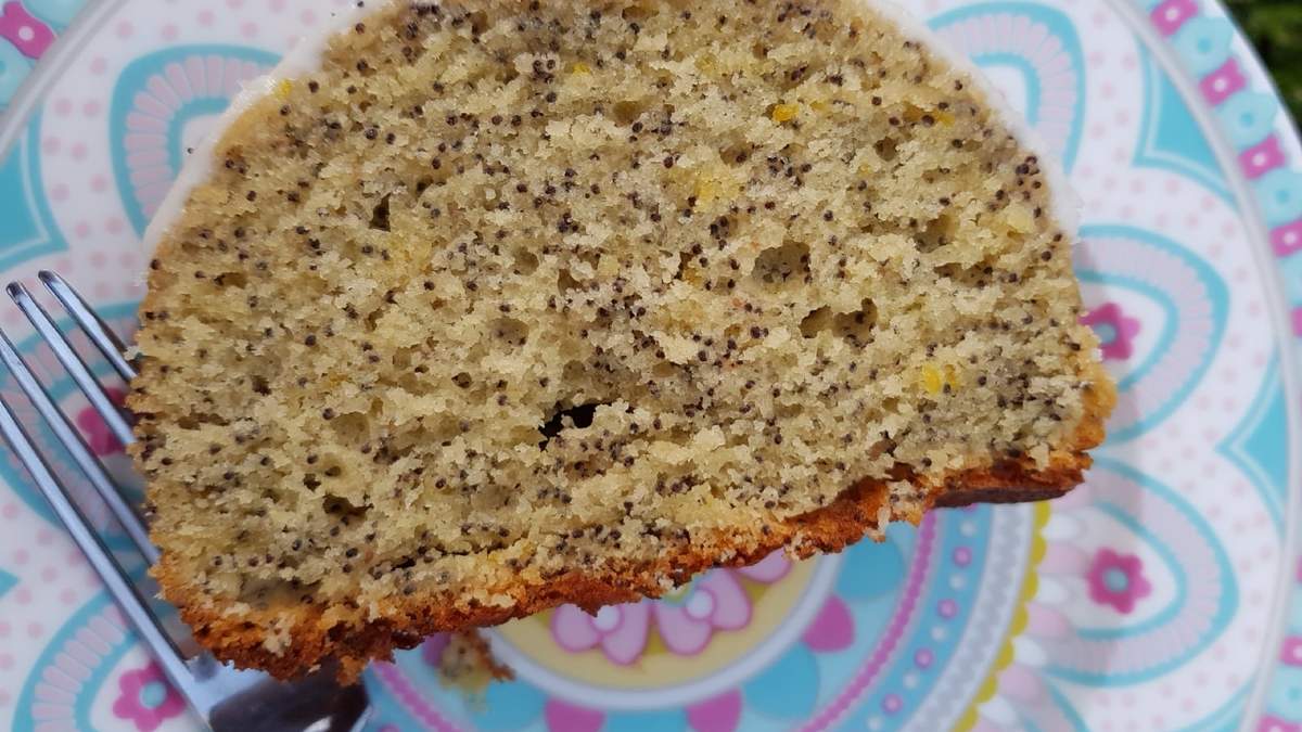 Budín. Fuente: (Instagram)