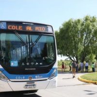 Feriado largo: cambios en transporte, comercio y servicios públicos en Neuquén y el Alto Valle
