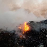 'Pegan” incendios a basurero y zonas boscosas de Jalisco; sin reporte de lesionados