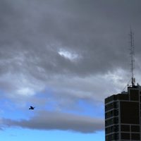 Clima en Neuquén: viernes con cielo cubierto y viento persistente en toda la provincia