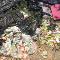 Astudillo almacena toneladas de despensas en bodegas sin condiciones para resguardo de víveres (Video)
