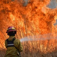 Corrientes, Misiones y Río Negro son las provincias con incendios activos