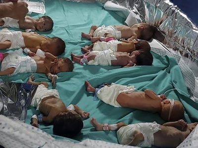 Guerra en Israel: 31 bebés son evacuados del principal hospital de Gaza