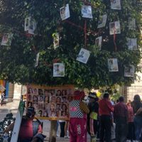 Ayuntamiento de Puebla retira fotografías de desaparecidos colocadas en árboles del zócalo