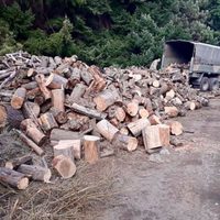 Vecino de S.M. Andes donó 200.000 kg de leña a Zapala