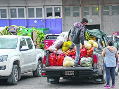 Las verduras son uno de los alimentos que más subieron su precio en Neuquén