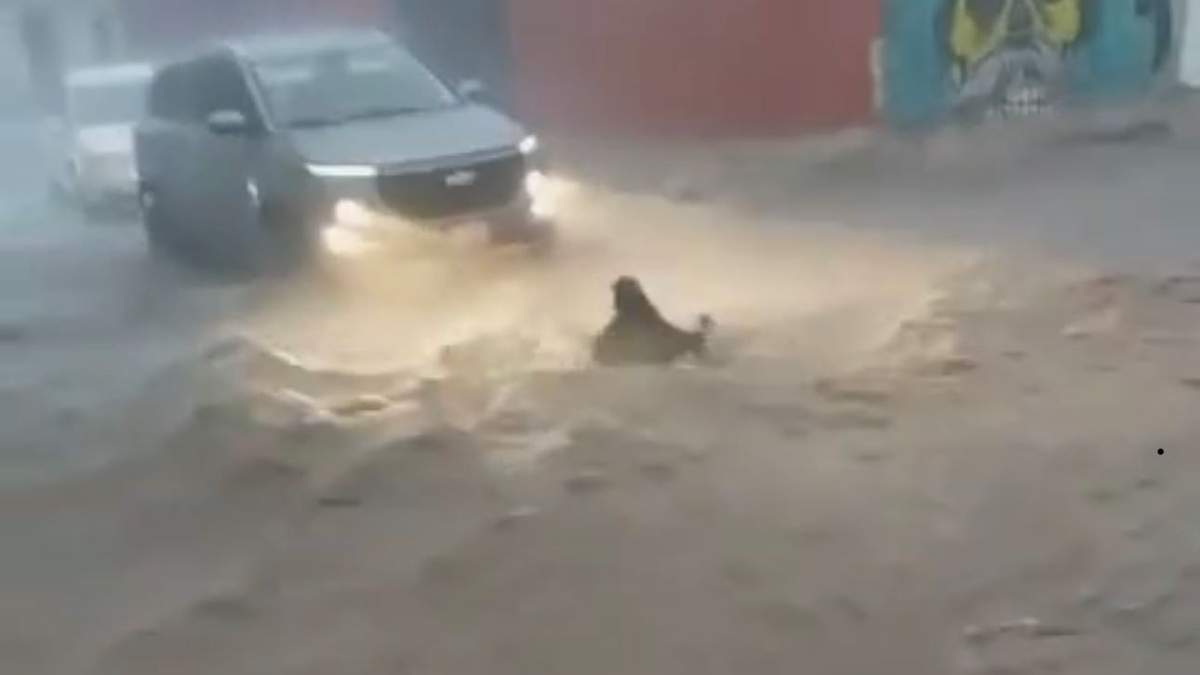 La menor de edad en el momento en que el fue llevada por la corriente
