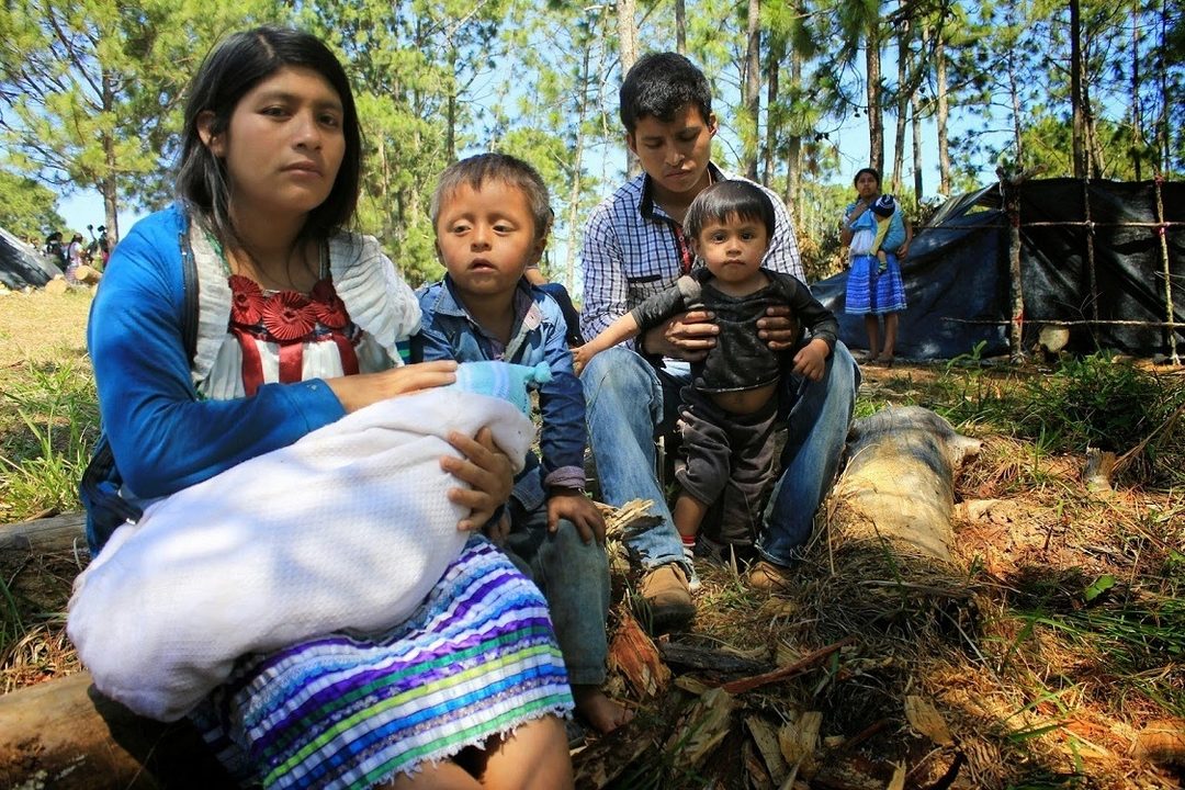 Chiapas. Desplazados