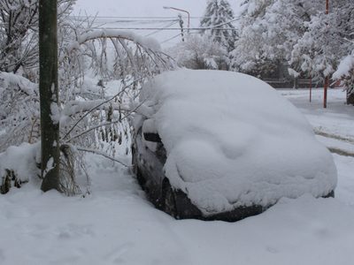 En Zapala continúa nevando y la situación comienza a complicarse