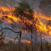 Por los incendios en la Patagonia, pidieron ayuda internacional, pero no prosperó