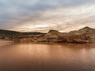 Inédito hallazgo en las gélidas aguas de Chubut