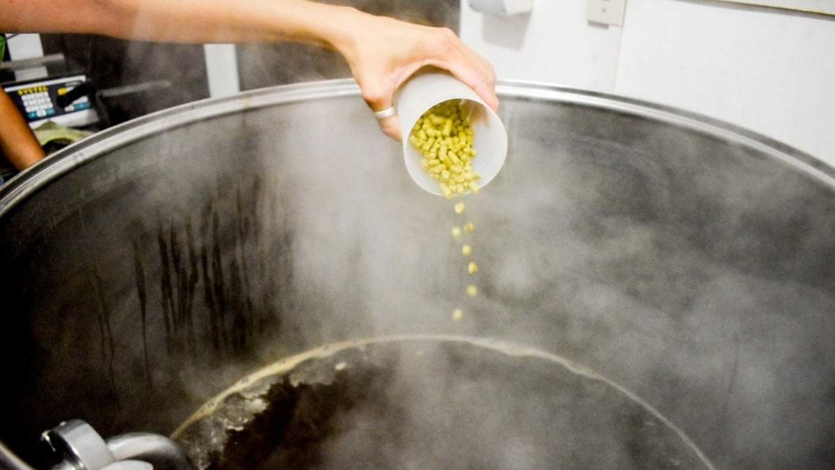 Clases por streaming de cerveza artesanal. Fuente: (Facebook)