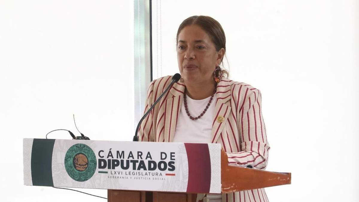 La diputada migrante de Morena, Maribel Solache González
