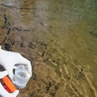 Contaminación en Centenario: buscan que la empresa Codam no vierta más sus cloacas en el río Neuquén