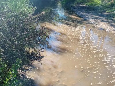 Avanza la causa por la contaminación del arroyo Las Piedritas