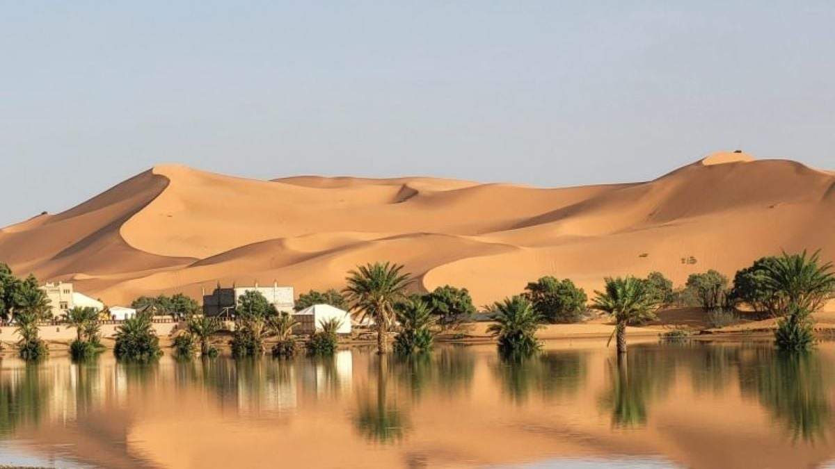 Se inunda el desierto del Sahara por primera vez en 50 años