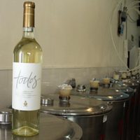 El Torrontés elaborado con uvas de viñedos de todo el país que llegó al Vaticano