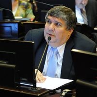 Grieta en el Frente de Todos: para Mayans, “la Constitución está a favor de la vida” y no del aborto